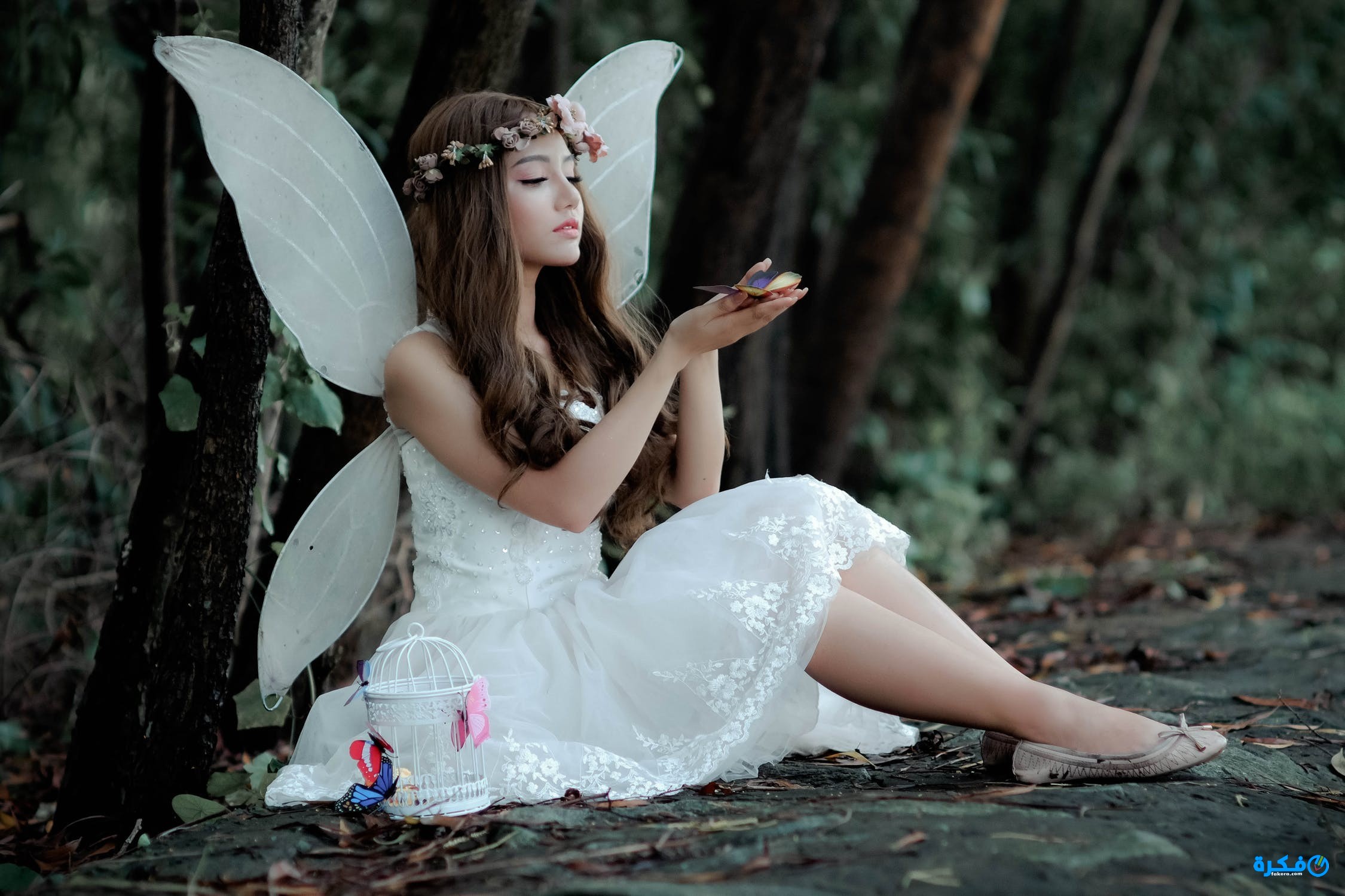 تفسير الاحلام في القران