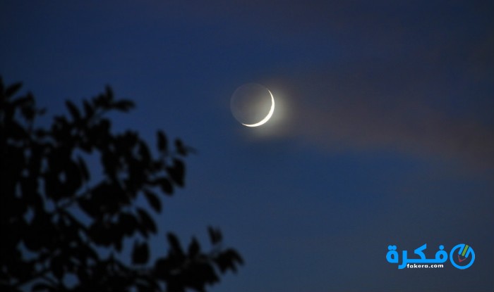 162317 6 1459772351 1 111