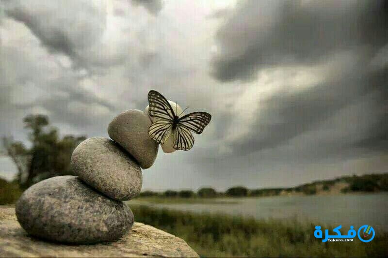 تفسير الامام الصادق حسب الايام