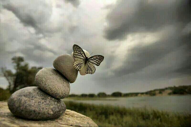 كيف أستطيع تفسير حلمي 3 كيف أستطيع تفسير حلمي