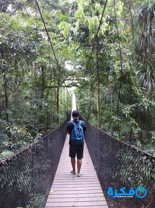 تفسير رؤية العبور من جسر عالي