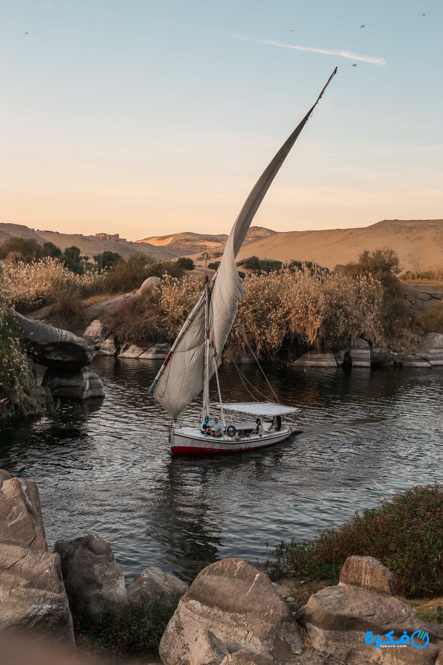 pexels photo 220762 1