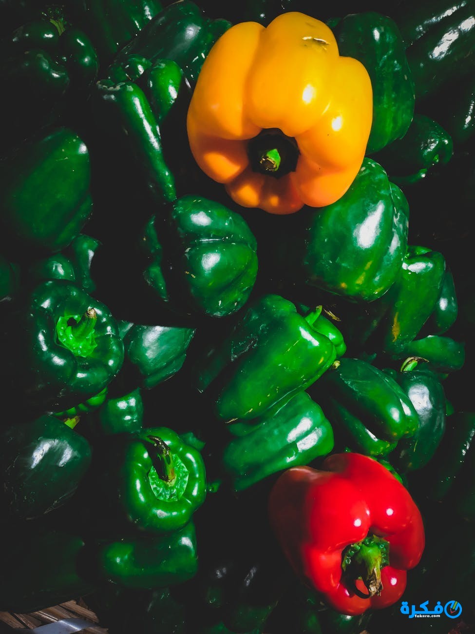 تفسير الاحلام الفلفل الاخضر