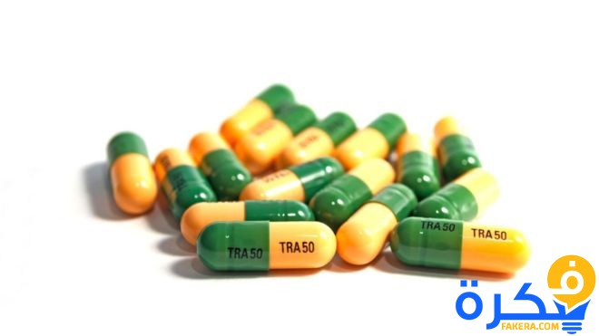 102932465 gettyimages 954366752 1