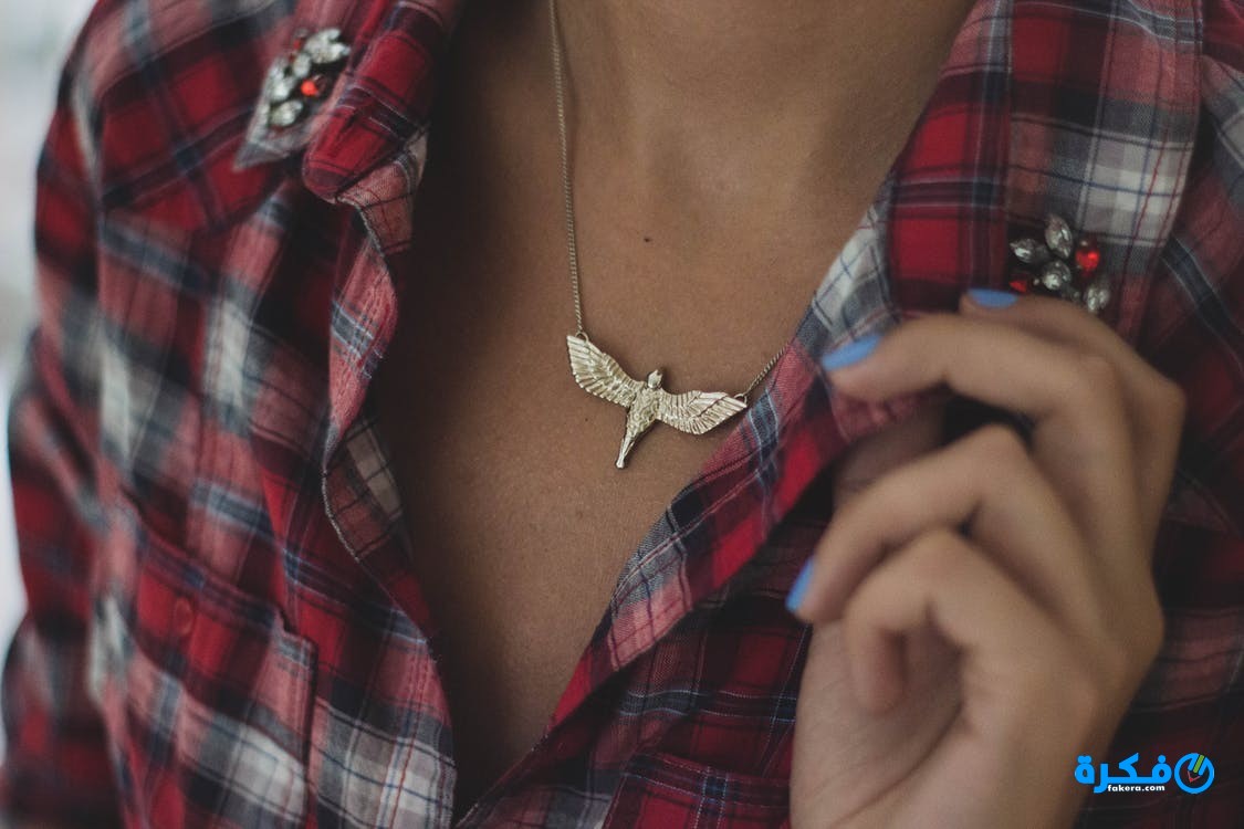 تفسير حلم رؤية السلسلة الفضة