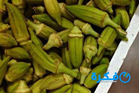 تفسير حلم البامية في المنام