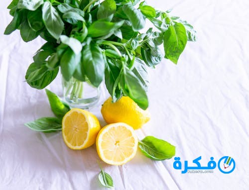 pexels photo 1585849