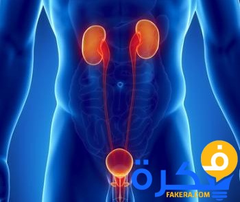 18685 thumb prostate portrait