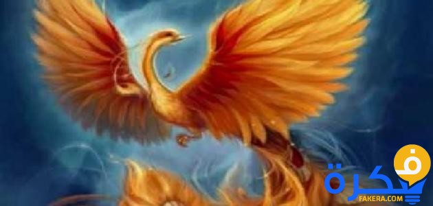 تفسير رؤية طائر العنقاء في المنام