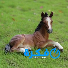 8b8968647abd64bade69bf20ec3fd072