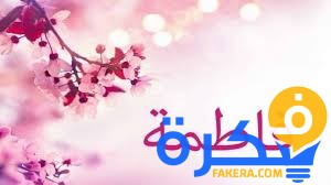 تفسير حلم رؤية فاطمة الزهراء في المنام 2 تفسير