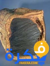 تفسير
