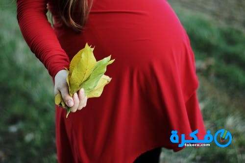 pexels photo 1625097