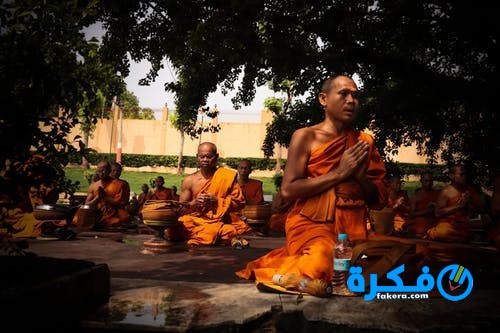 pexels photo 2421470