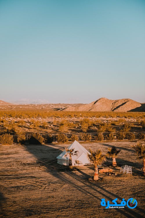 pexels photo 2653168