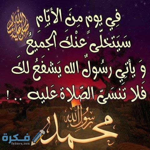 376726 dreambox sat.com 3