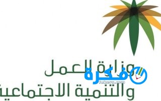 وزارة العمل والتنمية السعودية