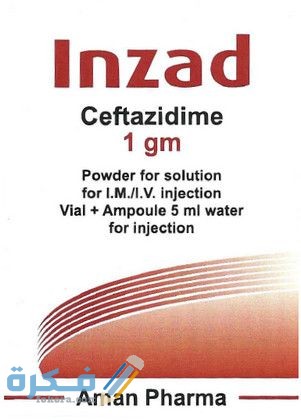 Inzad