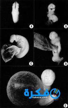 b6b745264318fc2b59578e029d469d62