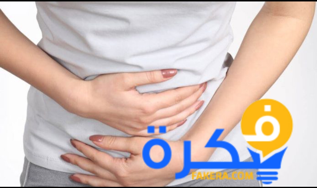 inbound6472058005468784801