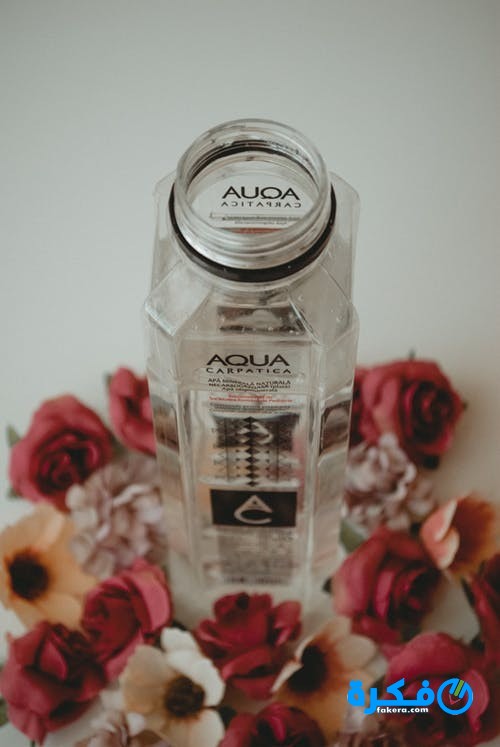 pexels photo 1410405