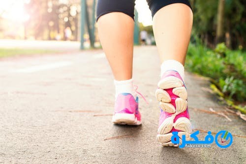 pexels photo 1556710