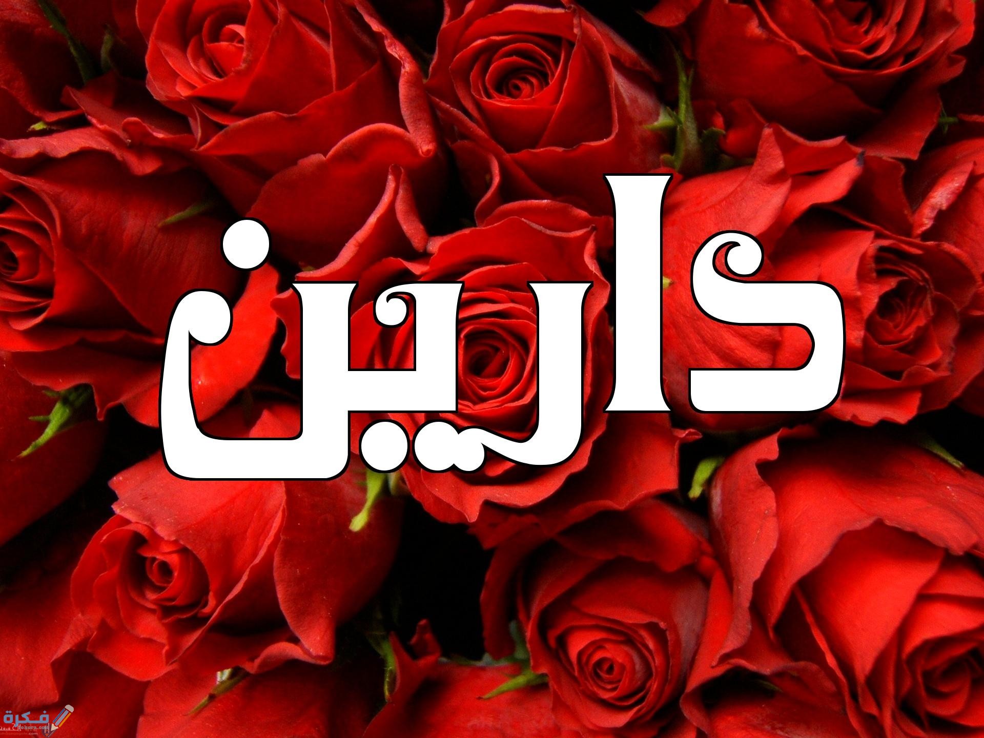 اسم دارين2