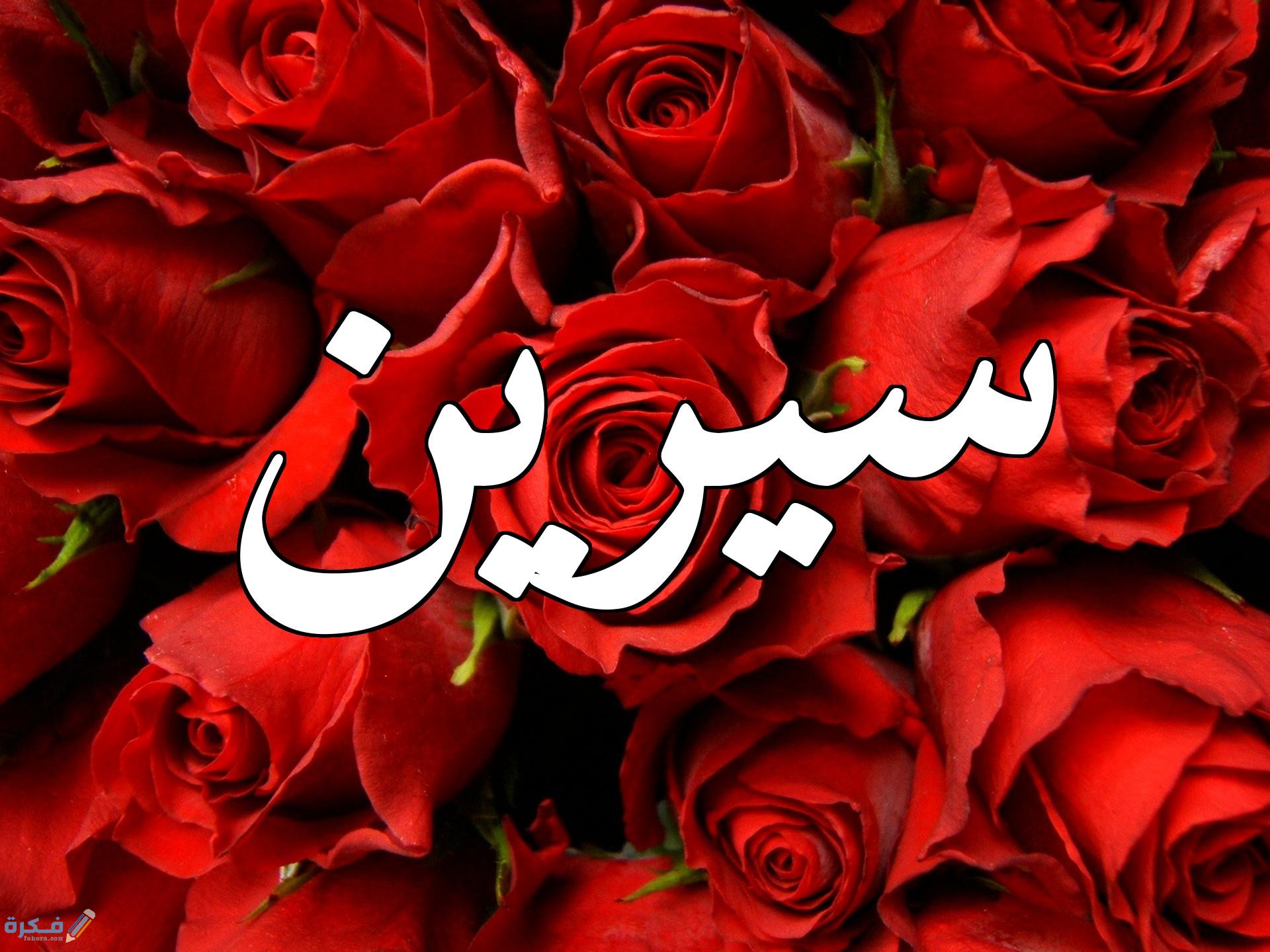 معنى اسم سيرين وشخصيتها وحكم التسمية في الاسلام 2 اسم سيرين