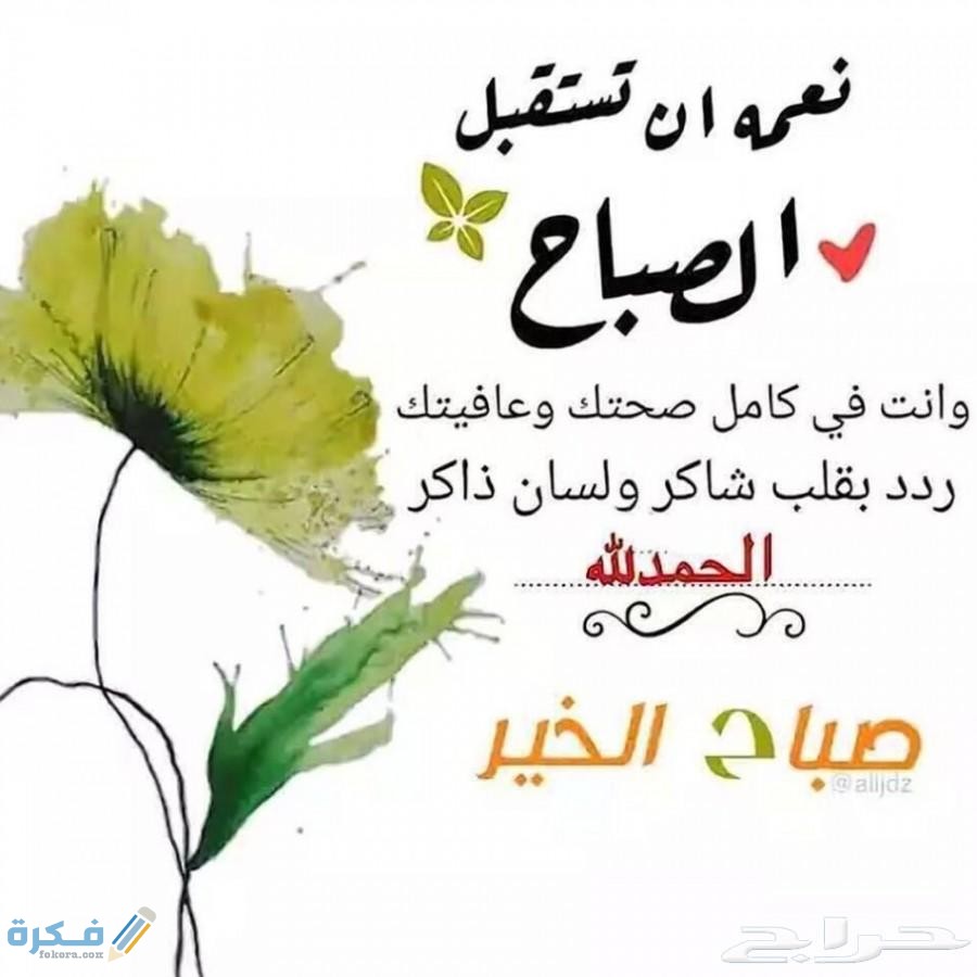 صور صباح الخير 2026 اجمل صور خلفيات عبارات صباحية 4 صور مكتوب عليها خواطر صباحية
