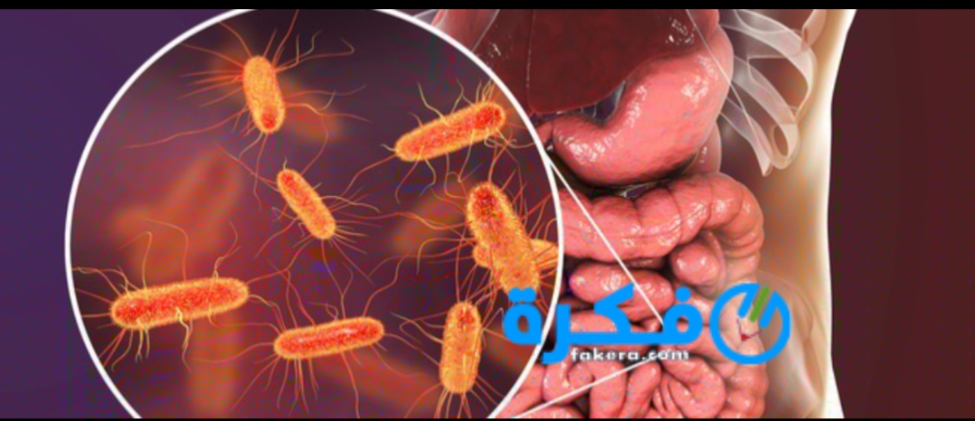 inbound2362128283843628896