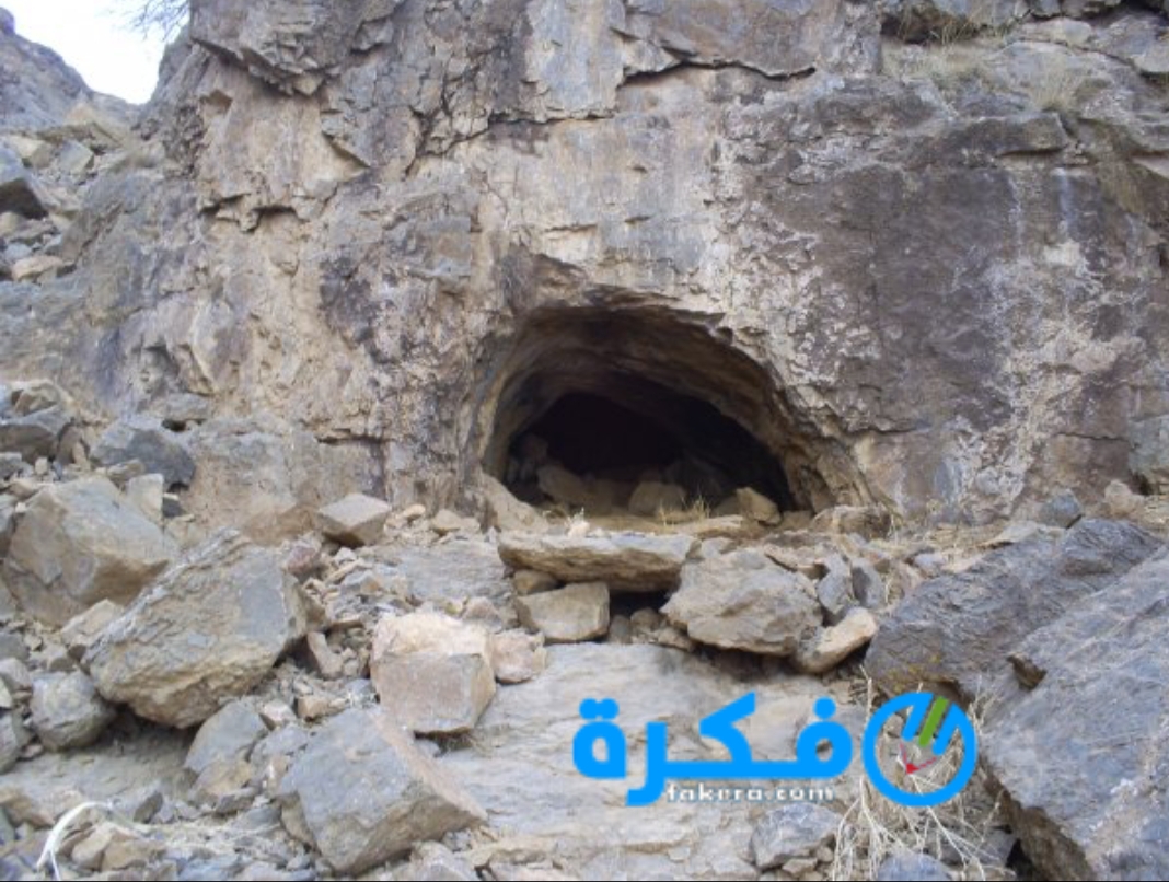 inbound3271646520985837255