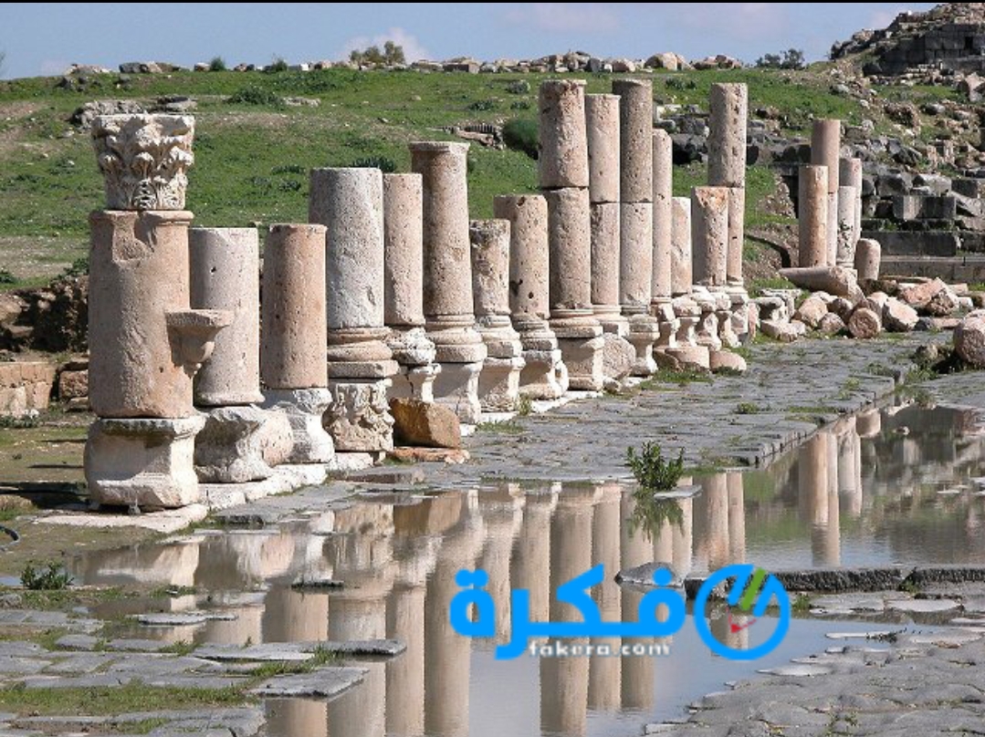 inbound3420824751168502740