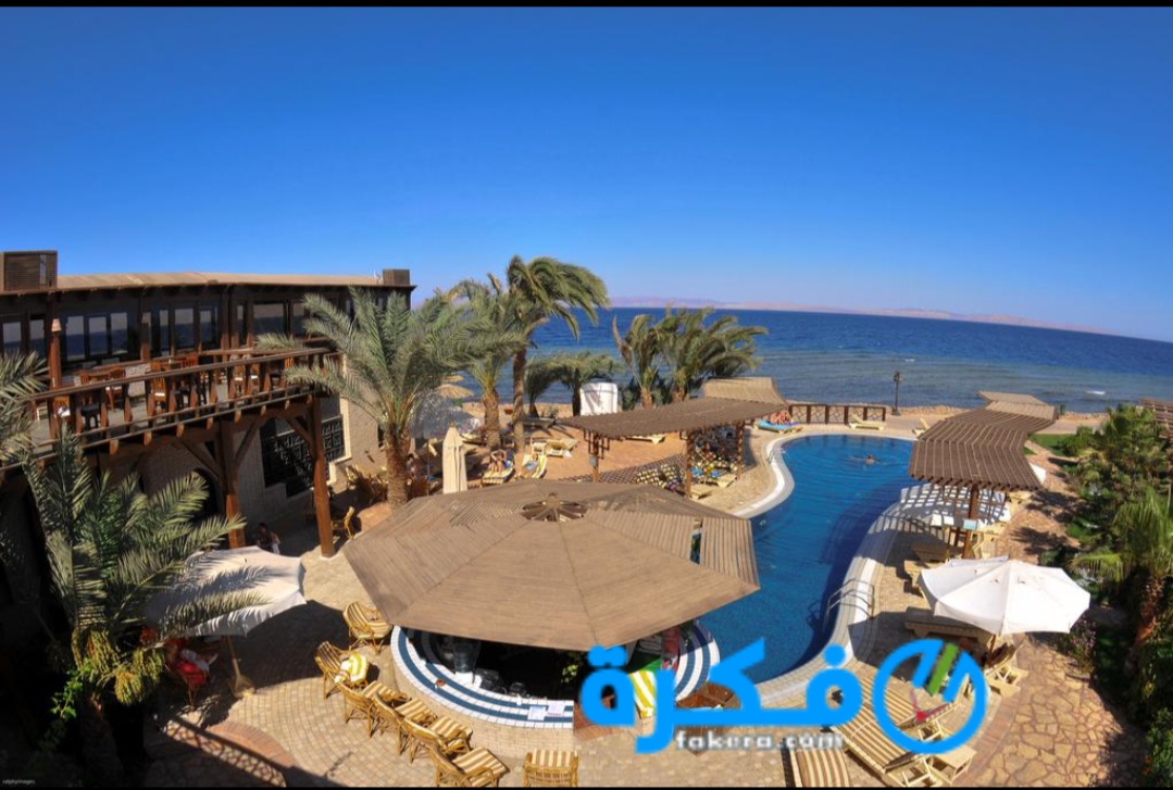 inbound6863568884605034681