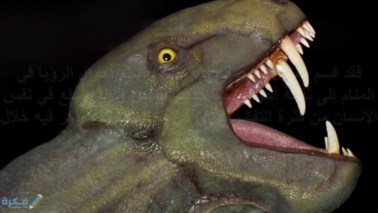 تفسير حلم رؤية حيوان غريب