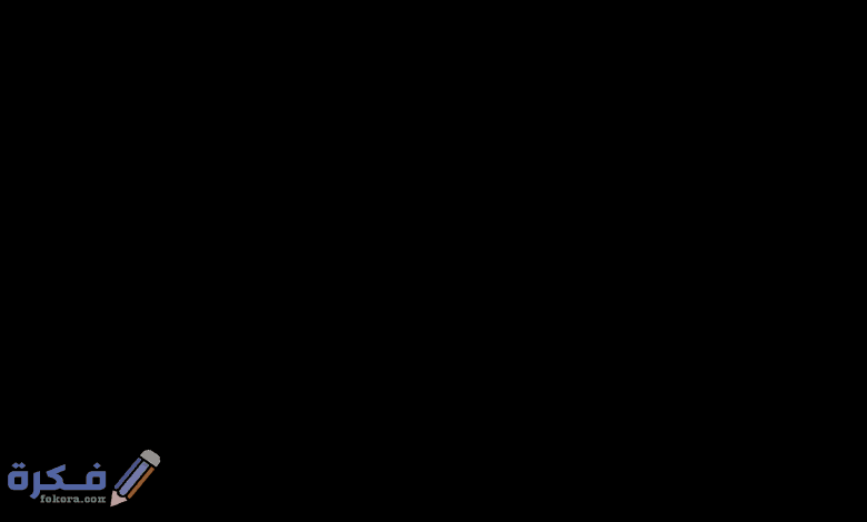 فيزا الامارات 2020 .. معلومات هامة لكل من يريد السفر الى الامارات للسياحة أو الزيارة