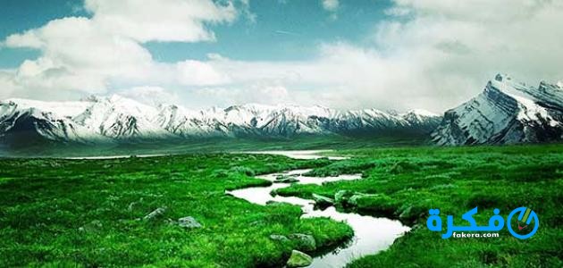 موضوع تعبير عن فضل الوطن