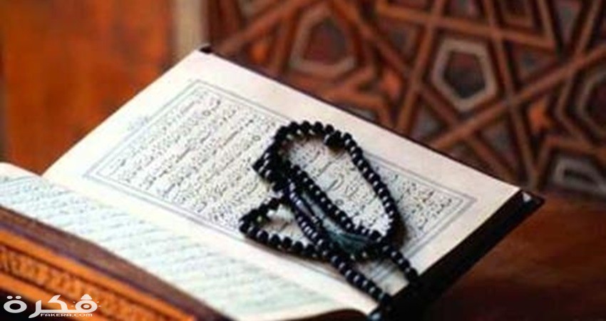 023e0c07f1134108afabfe95b880593f