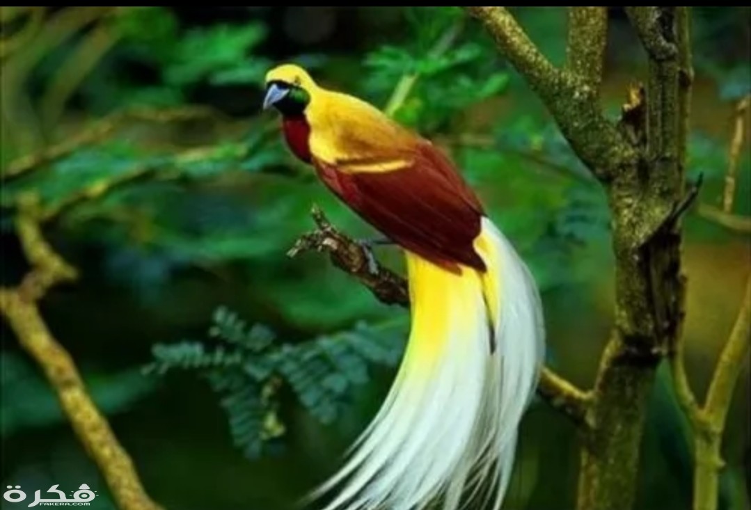 inbound2784822610817611366