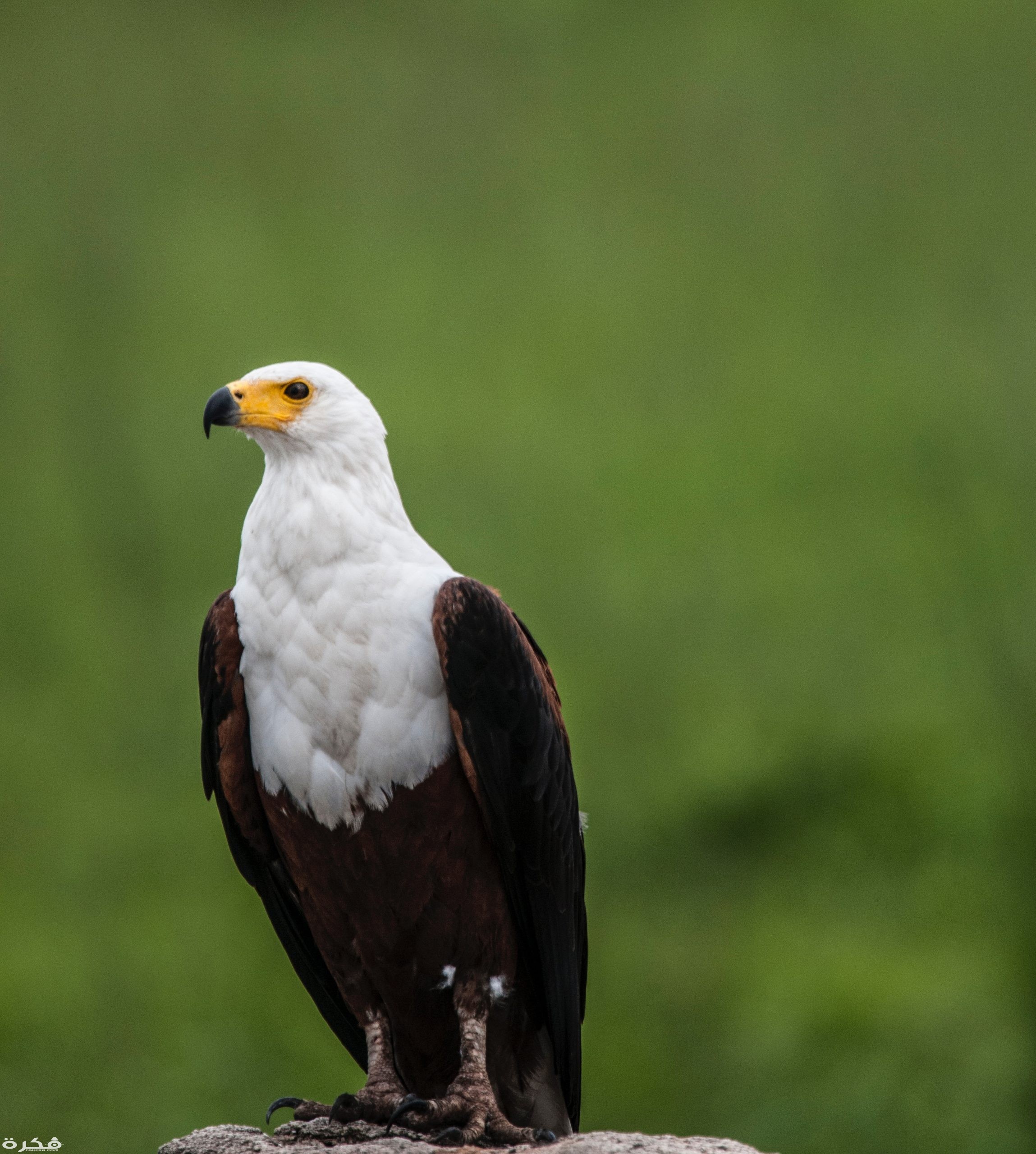 inbound3978715929915299616 scaled