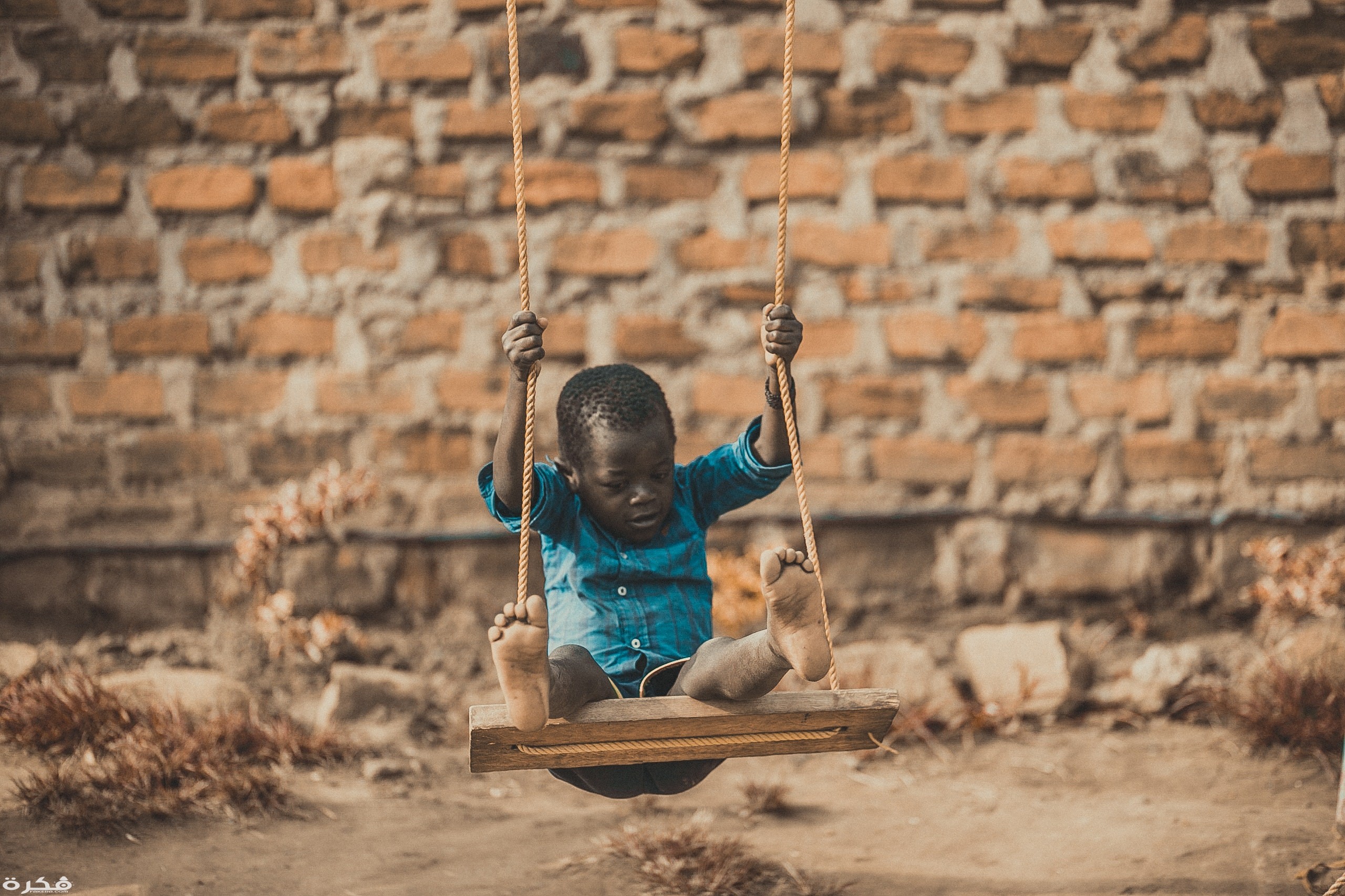 inbound4213323624365890640