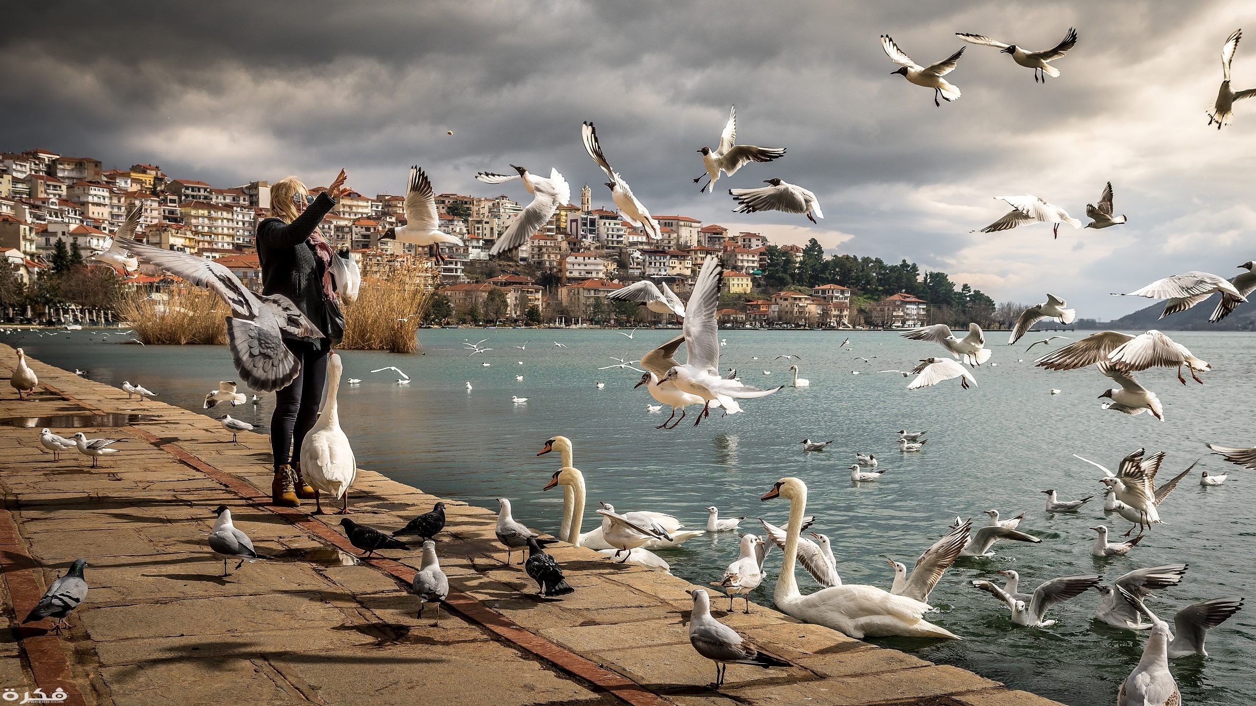 inbound6404143464195791244 scaled