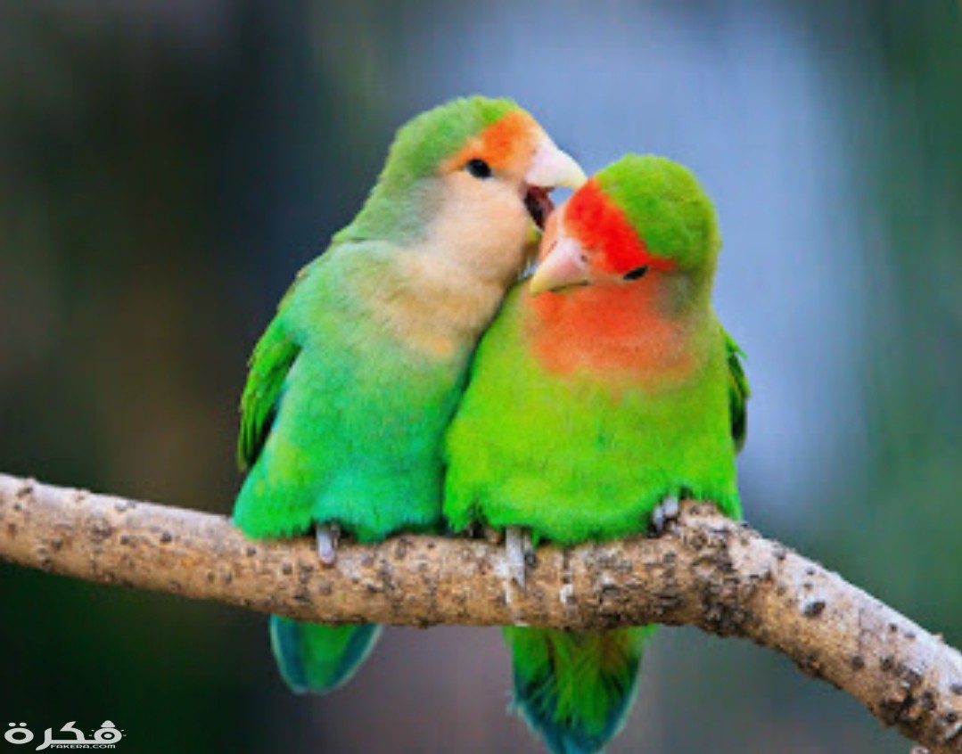 inbound6632629600211416695