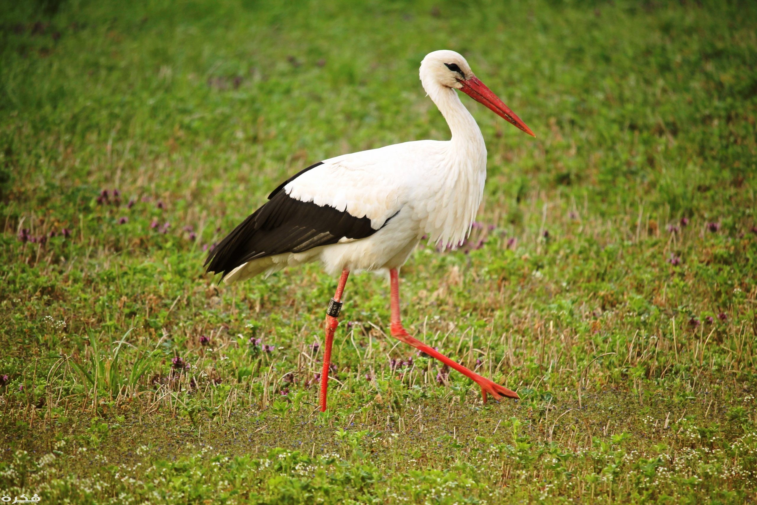 inbound6675856930914880633 scaled