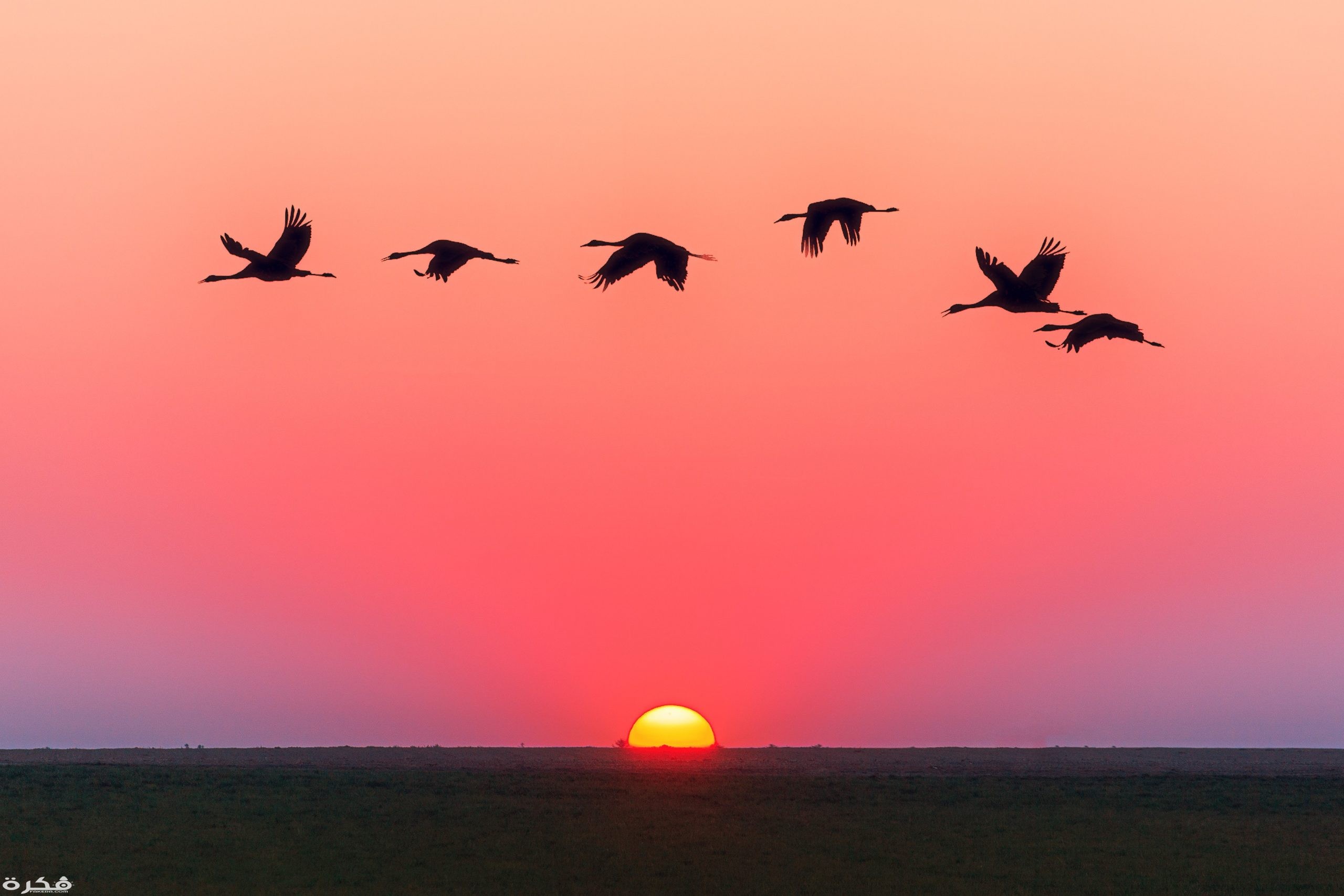 inbound7784900817449120345 scaled