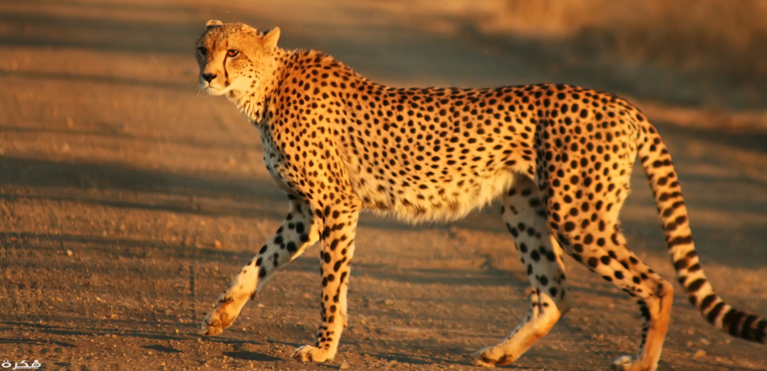 15un8i5pvxj4swoogw scaled