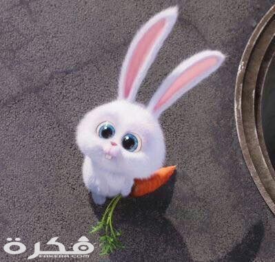 68747470733a2f2f73332e616d617a6f6e6177732e636f6d2f776174747061642d6d656469612d736572766963652f53746f7279496d6167652f7050684e6b645945475f526432413d3d2d3737333433313534332e3135626264386