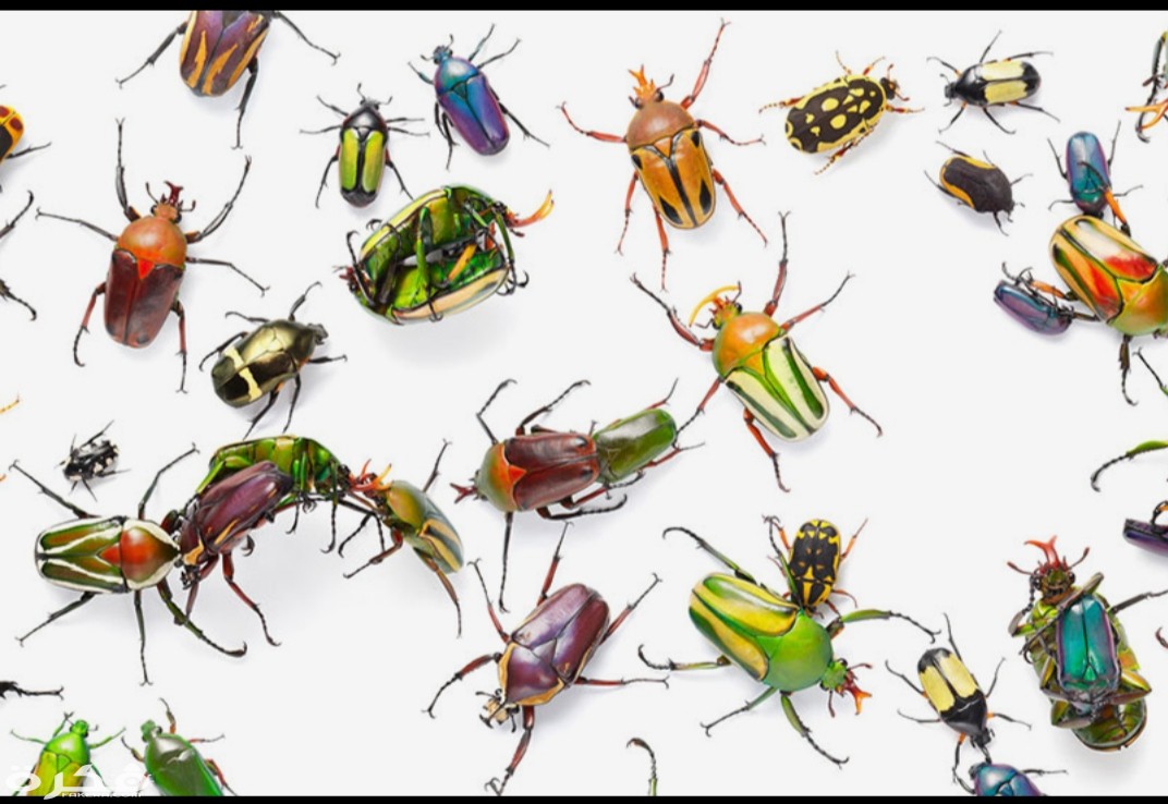 inbound3817895742927298541