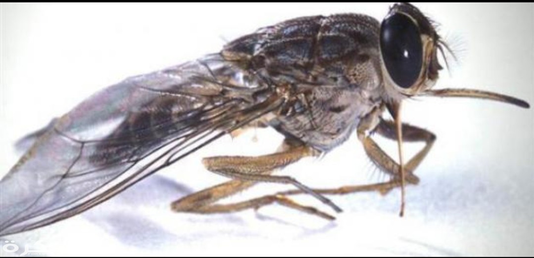 inbound5177492637825016557