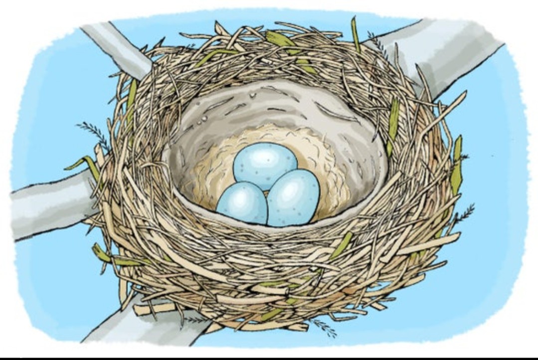 inbound6004157074393544592