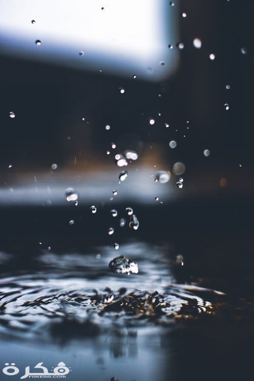 pexels photo 1251293